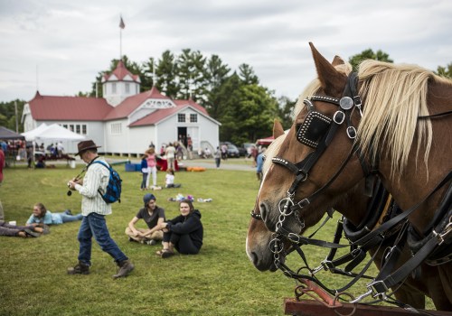 The Ultimate Guide to Bringing Your Pet to Festivals in Essex County, MA